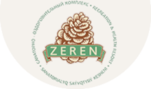 логотип Zeren